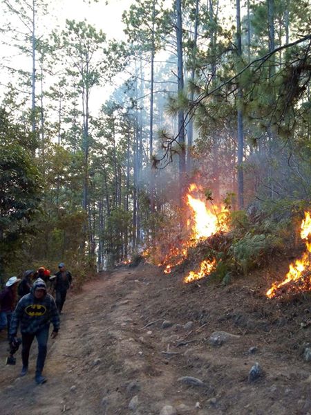Incendios Celaque 5