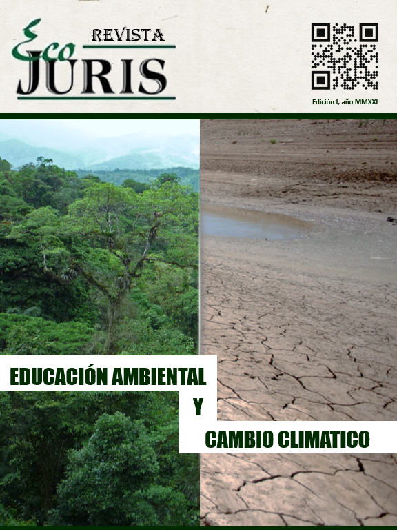 Revista EcoJuris I
